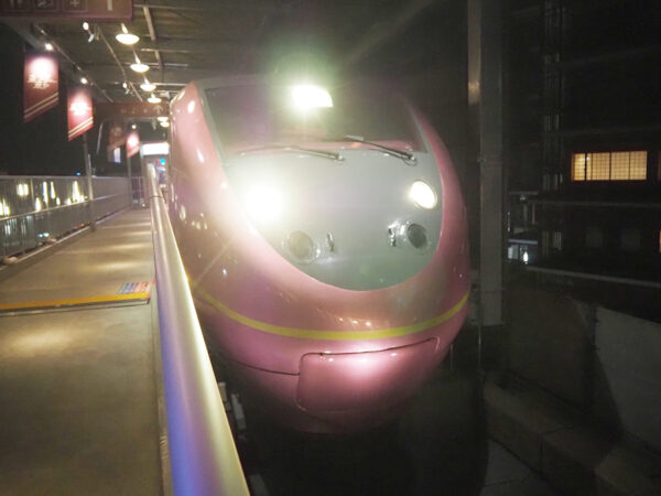 Large figure2 gallery10