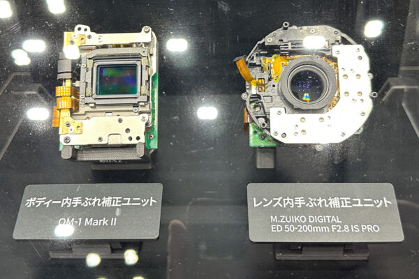 Large figure3 gallery8