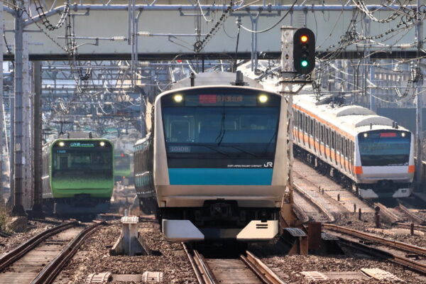 Large 20260509 01