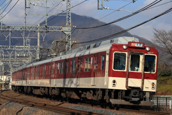 Large 20260420 01