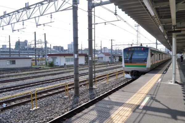 Large 20260505 01