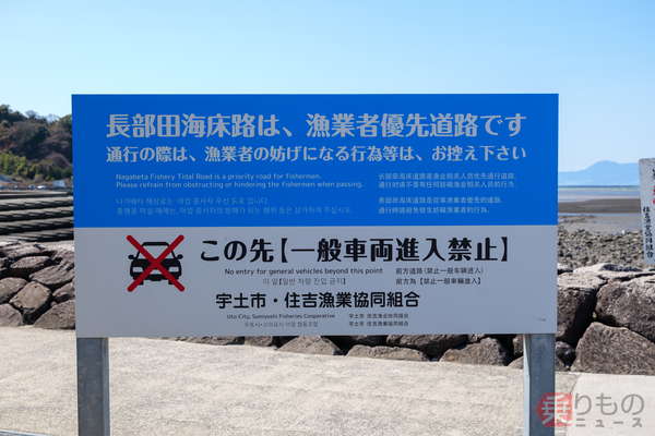 Large 20260507 01