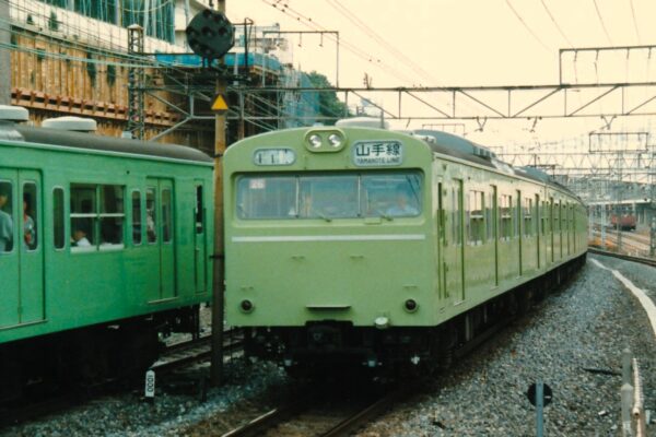 Large 20260522 01