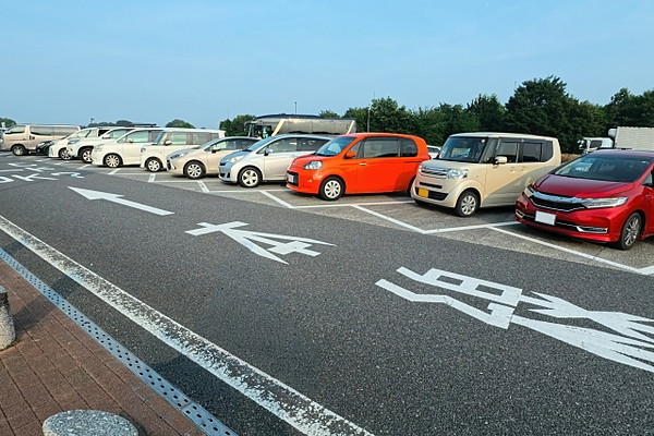 Large 20260509 01