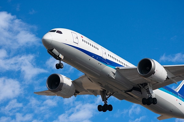 Large 20260511 01