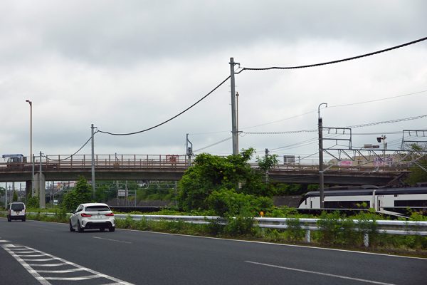 Large 20260527 01