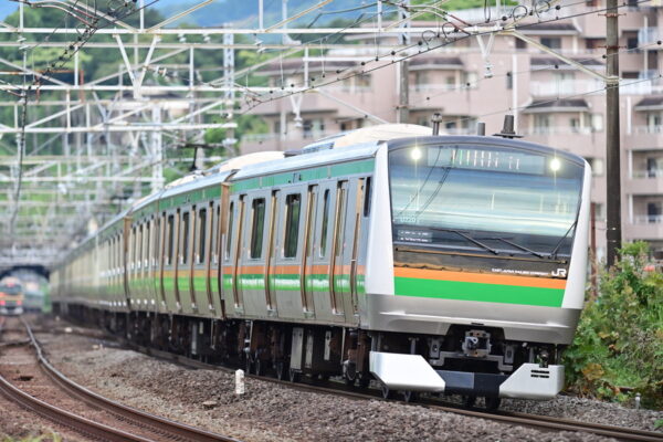 Large 20260528 01