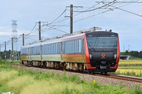 Large 20260515 01