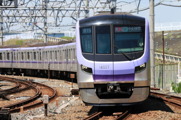 Large 20260511 01