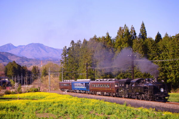 Large 20260515 01