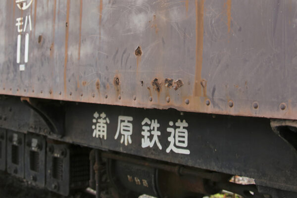 Large 20260515 01
