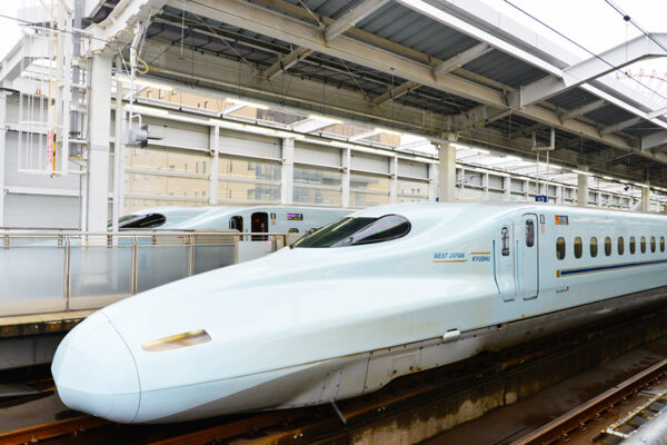 Large 20260521 01