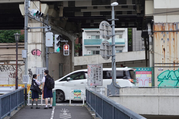 画像ギャラリー | ここ高速道路ですよ!? ランプのド真ん中を「横断歩道