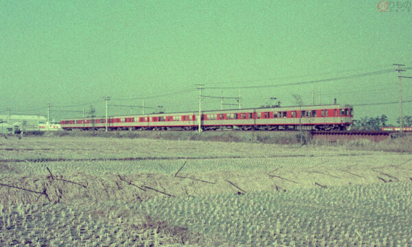 Large 20260508 01