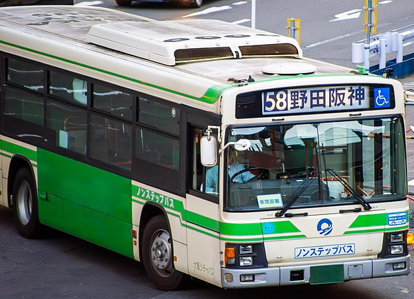 Large 20260612 01