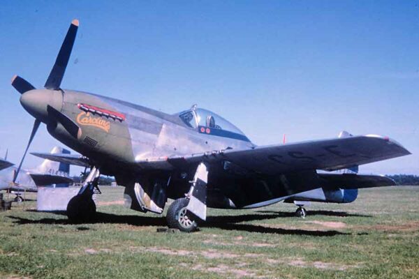 Large 20260613 01