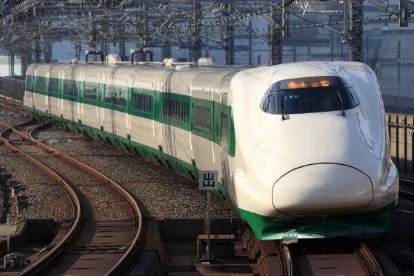 Large 20260601 01