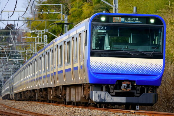Large 20260604 01