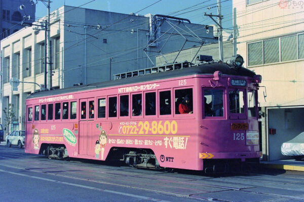 Large 20260612 03