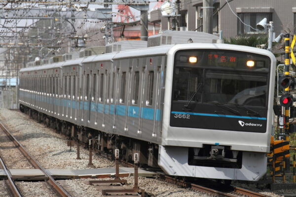 Large 20260614 01