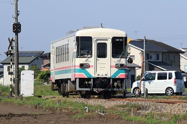Large 20260607 01