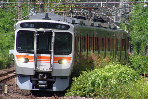 Large 20260602 01