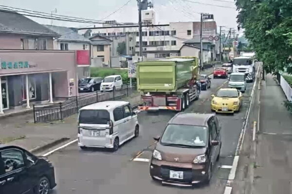 Large 20260606 01
