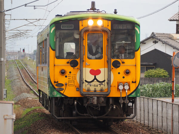 Large 20260611 01