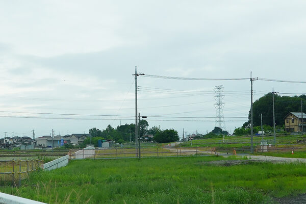 Large 20260611 01