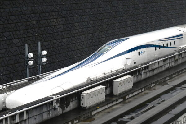 Large 20260614 01