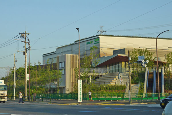 Large 20260625 01