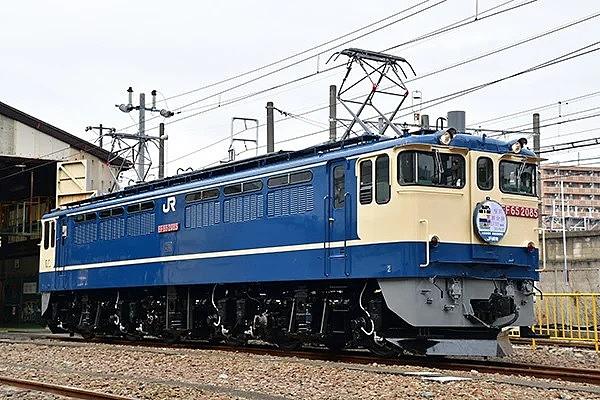 Large 20260723 01