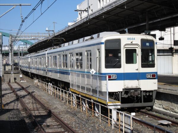 Large 20260713 01