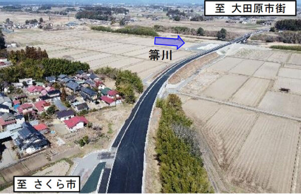 Large 20260704 01