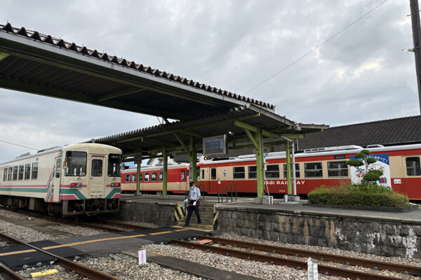 Large 20260709 01