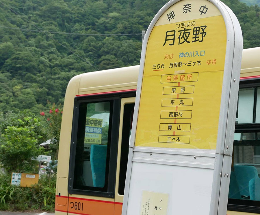 サムネイル