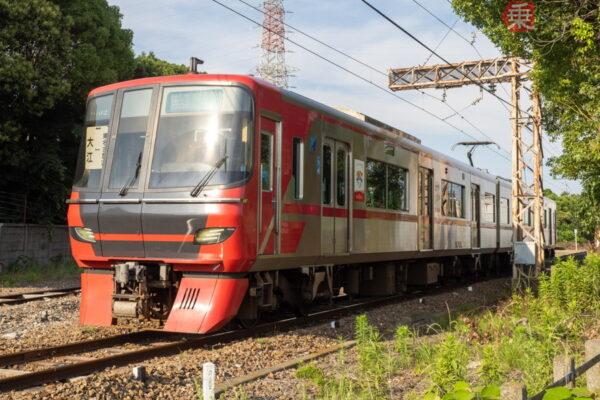Large 20260718 01