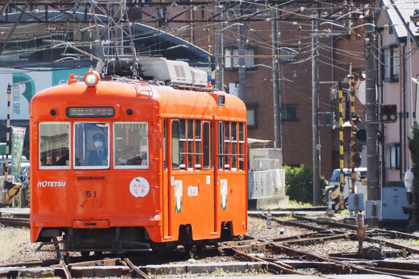Large 20260720 01