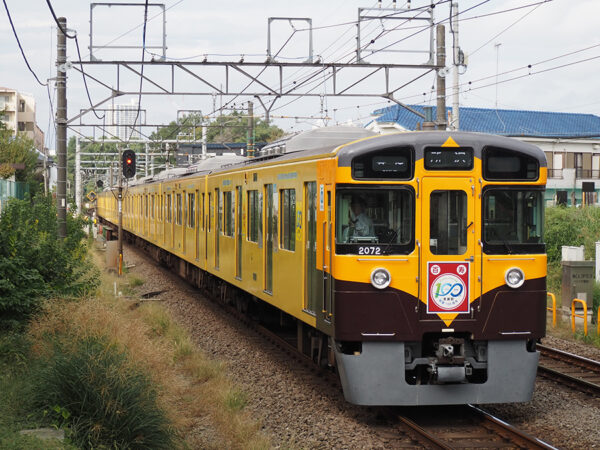 Large 20260726 01