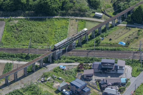 Large 20260704 01